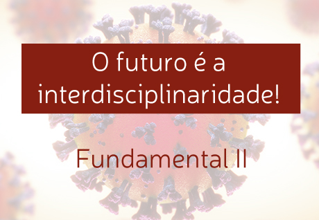 O futuro  a interdisciplinaridade! - So Paulo da Cruz 