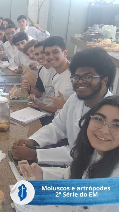 Moluscos e artr�podes - 2� S�rie do Ensino M�dio - S�o Paulo da Cruz Rede Passionista de Educa��o