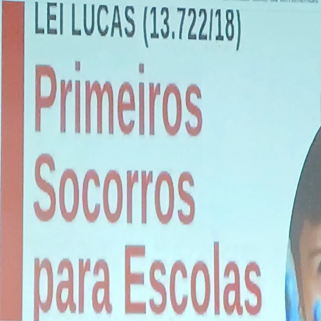 Forma��o da Lei Lucas - Santa Luzia Rede Passionista de Educa��o
