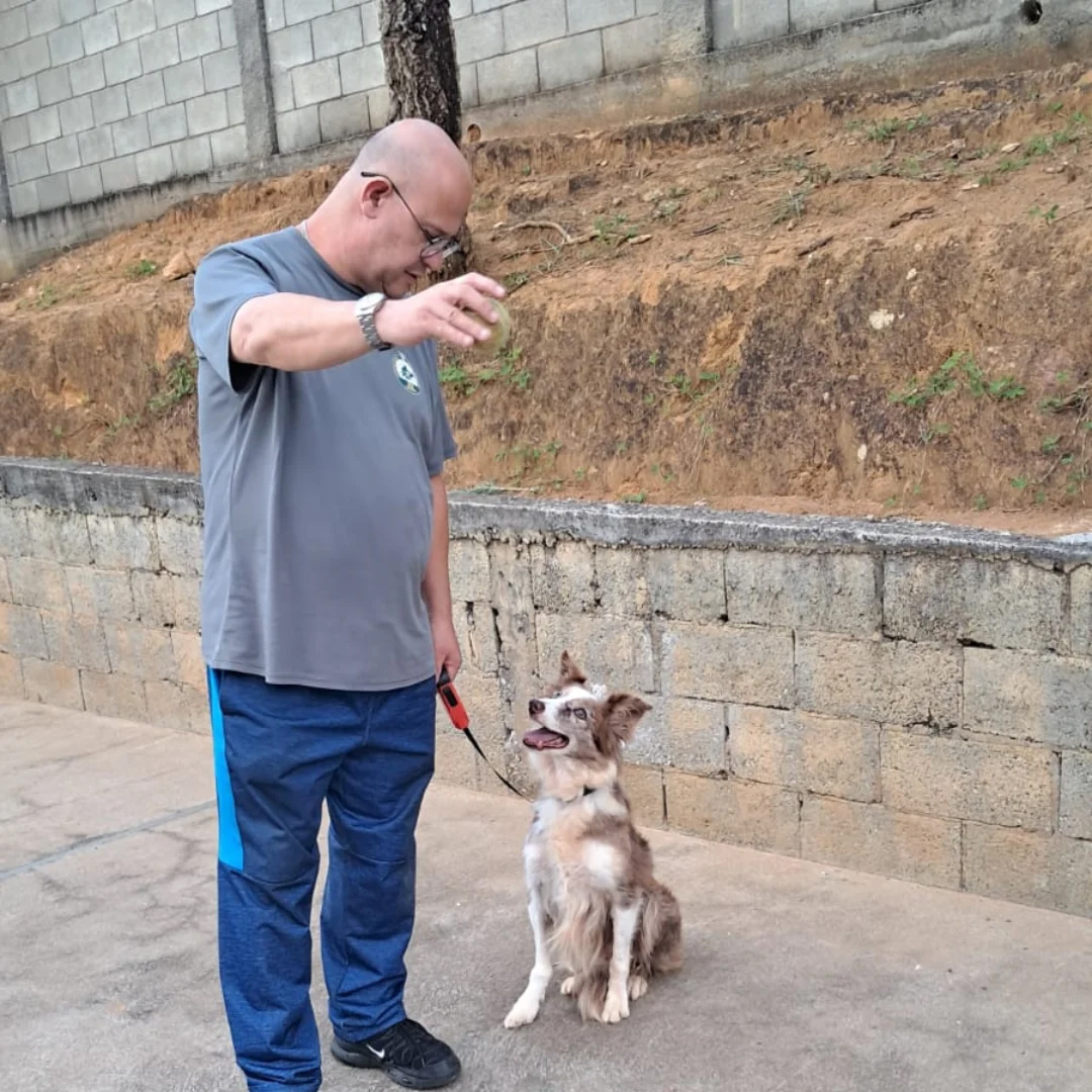 Cinoterapia - Santa Luzia Rede Passionista de Educa��o