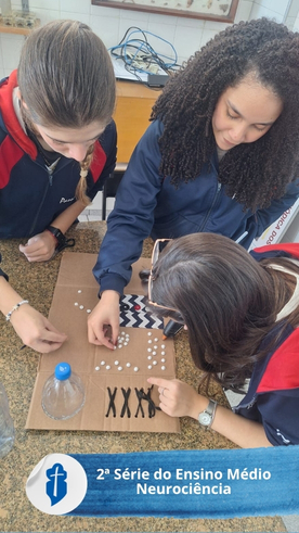 2� S�rie do Ensino M�dio - Aula de Neuroci�ncia - S�o Paulo da Cruz Rede Passionista de Educa��o