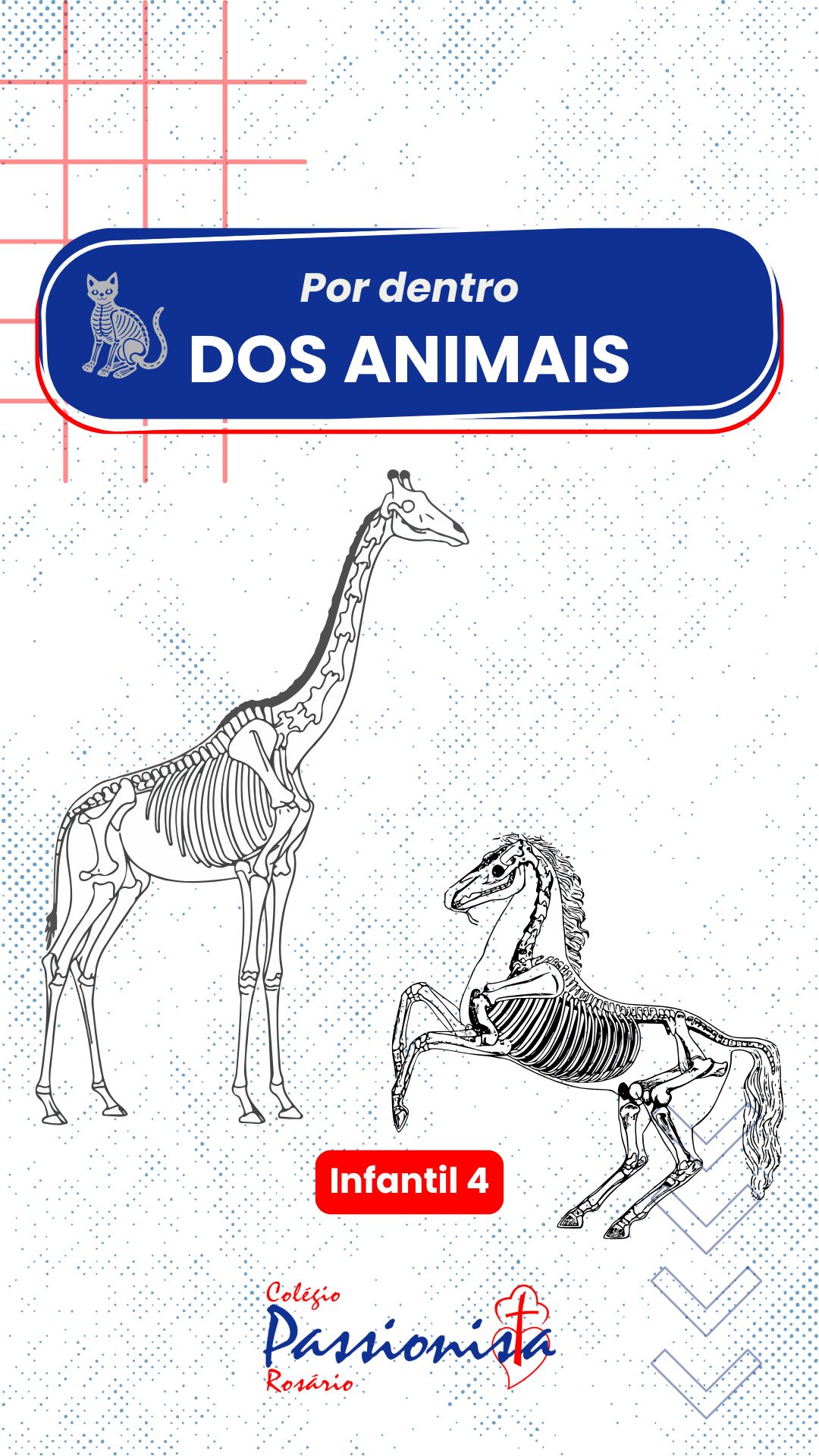 Explorando os Segredos do Corpo dos Animais - Infantil 4 - Rosrio Rede Passionista de Educao