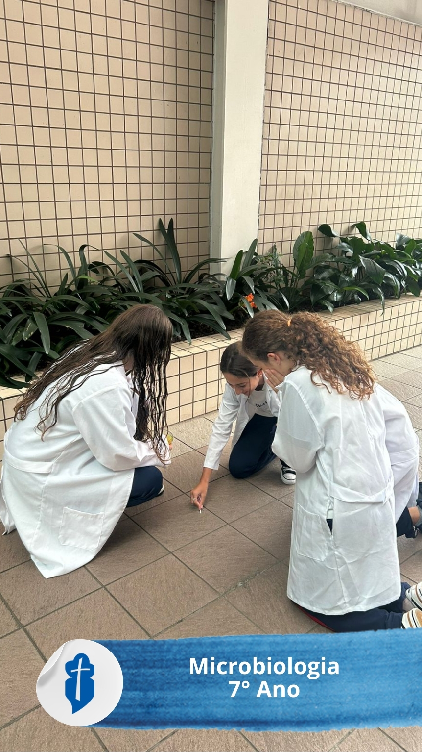 Microbiologia com 7� Ano - S�o Paulo da Cruz Rede Passionista de Educa��o