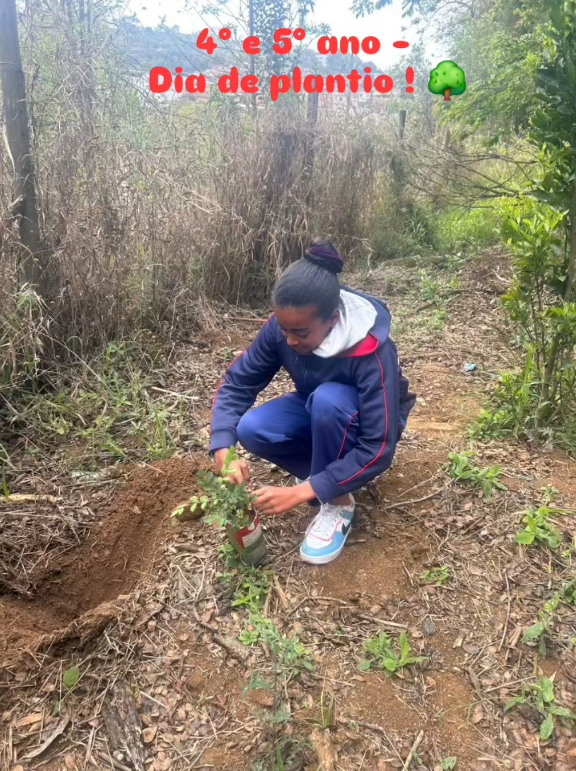 Dia de Plantio - Santa Luzia Rede Passionista de Educa��o