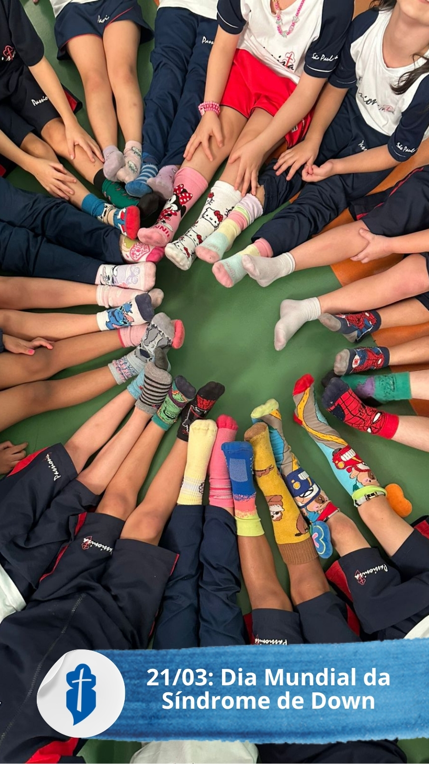Dia Mundial da S�ndrome de Down - S�o Paulo da Cruz Rede Passionista de Educa��o