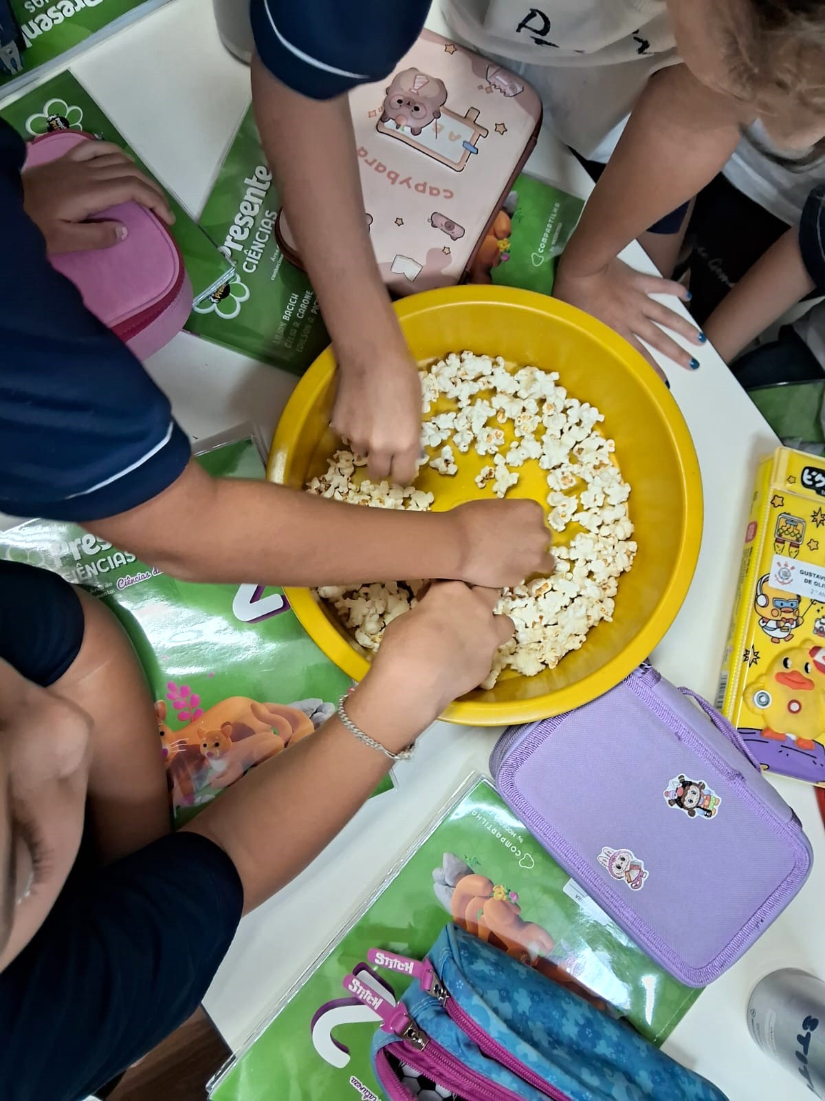 2� ano - Atividade Pr�tica de Ci�ncias Rede Passionista de Educa��o