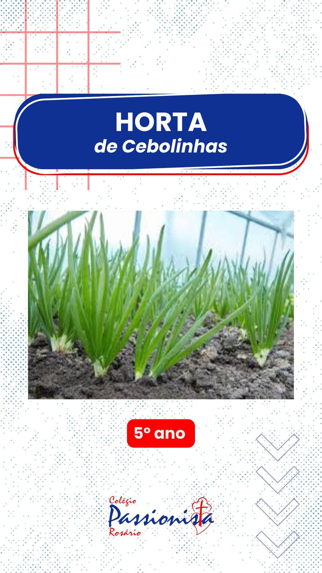 Horta de Cebolinhas: cultivando valores e conhecimento - 5 ano - Rosrio Rede Passionista de Educao