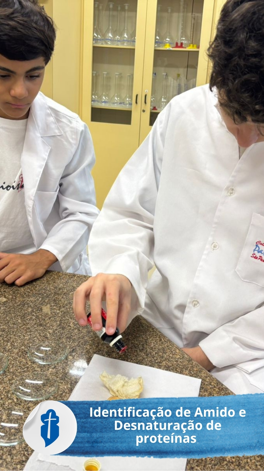 Identifica��o de amido e Desnatura��o de prote�nas - S�o Paulo da Cruz Rede Passionista de Educa��o