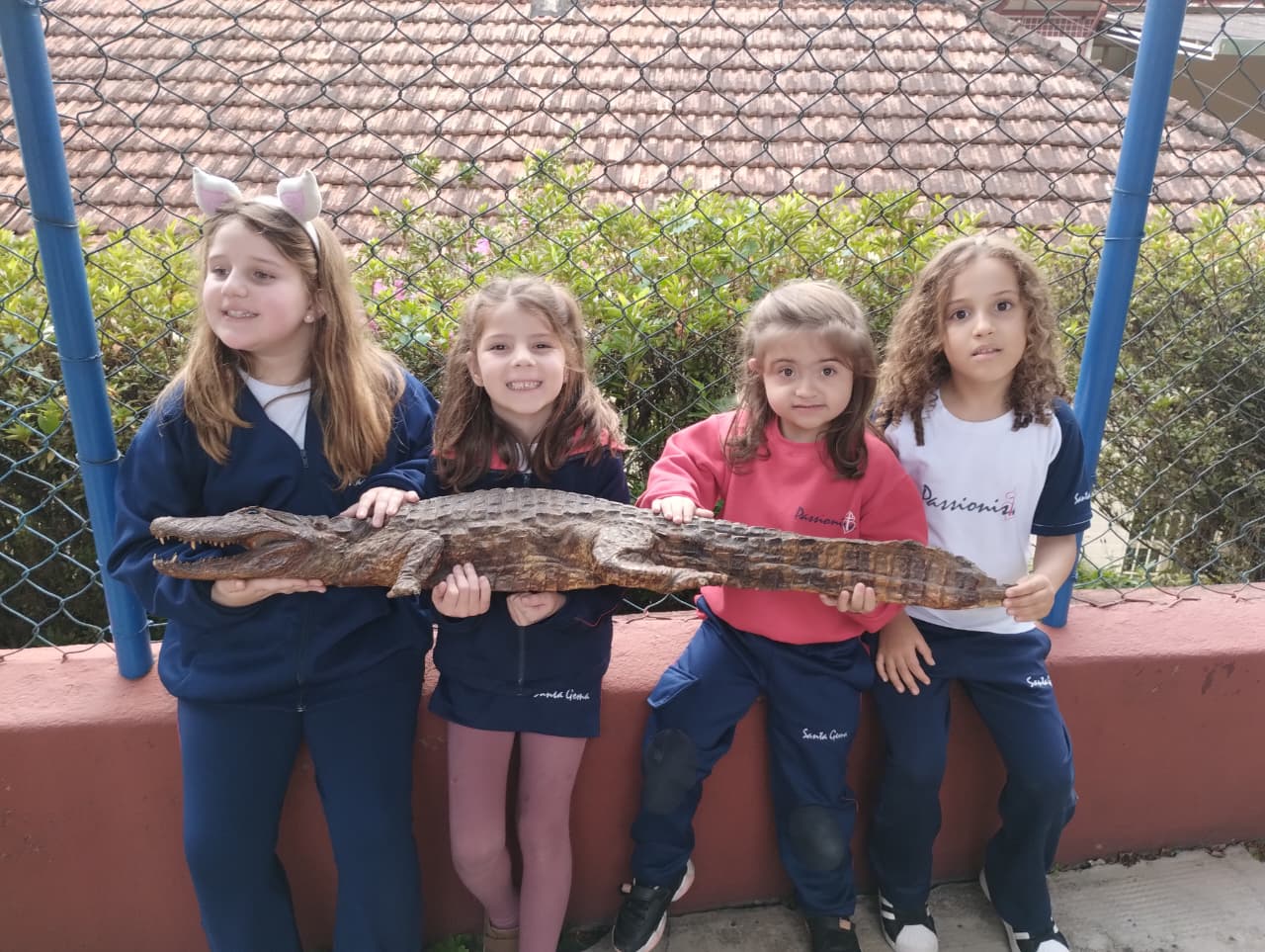 1� ano - Laborat�rio - Santa Gema Rede Passionista de Educa��o