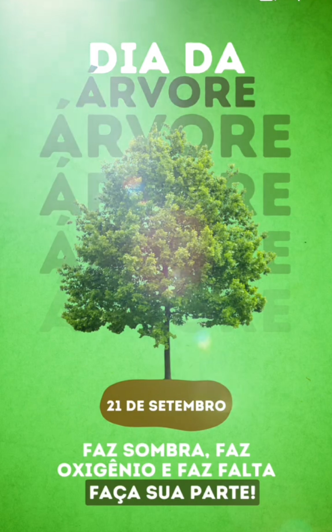 Dia da �rvore - Santa Luzia Rede Passionista de Educa��o