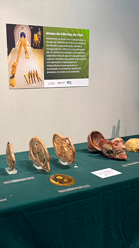 Viagem de estudos ao Museu Mello leito em Santa Teresa - Joo XXIII Rede Passionista de Educao