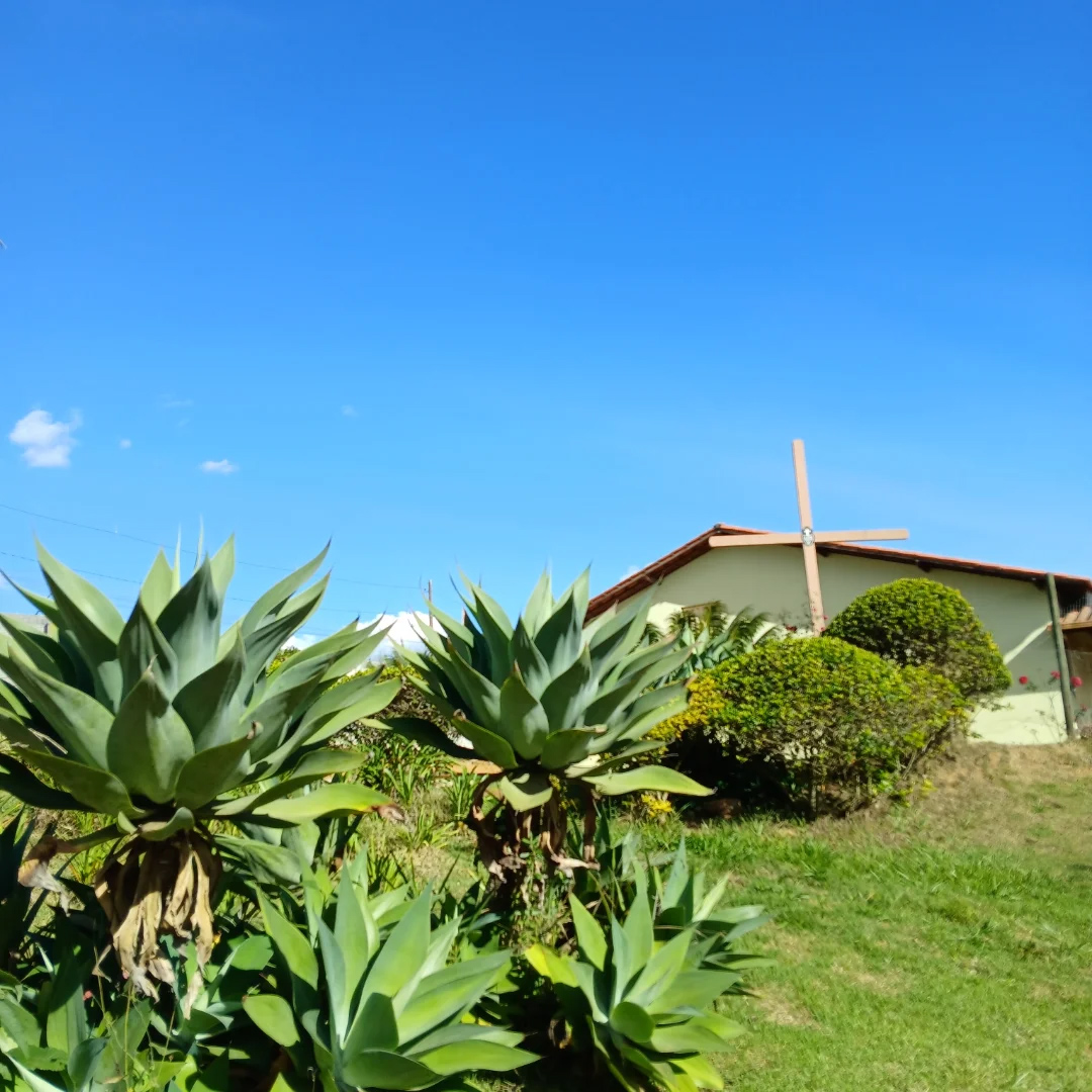 05 de Junho: Dia do Meio Ambiente - Santa Luzia Rede Passionista de Educa��o