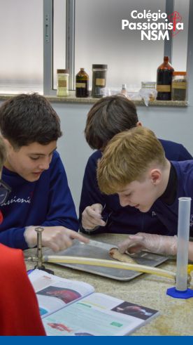 Prtica no Laboratrio! - Nossa Senhora Menina Rede Passionista de Educao