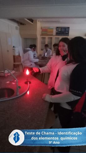 Teste de Chama - Identificação dos elementos químicos - 9° Ano - São Paulo da Cruz Rede Passionista de Educação Teste de Chama - Identificação dos elementos químicos - 9° Ano - São Paulo da Cruz Rede Passionista de Educação