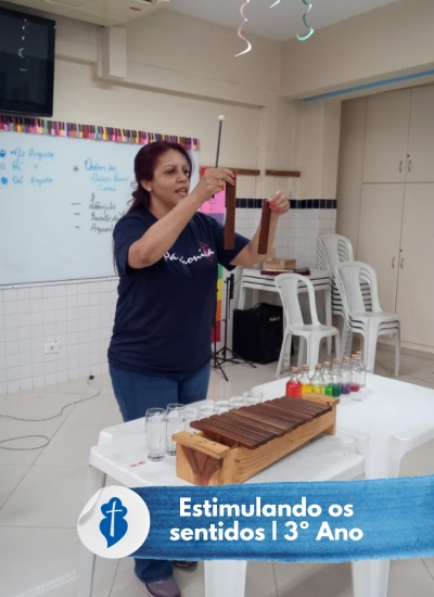 Estimulando os Sentidos - 3 Ano - So Paulo da Cruz Rede Passionista de Educao