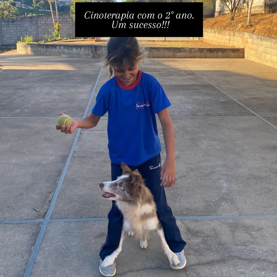 Cinoterapia - Santa Luzia Rede Passionista de Educa��o