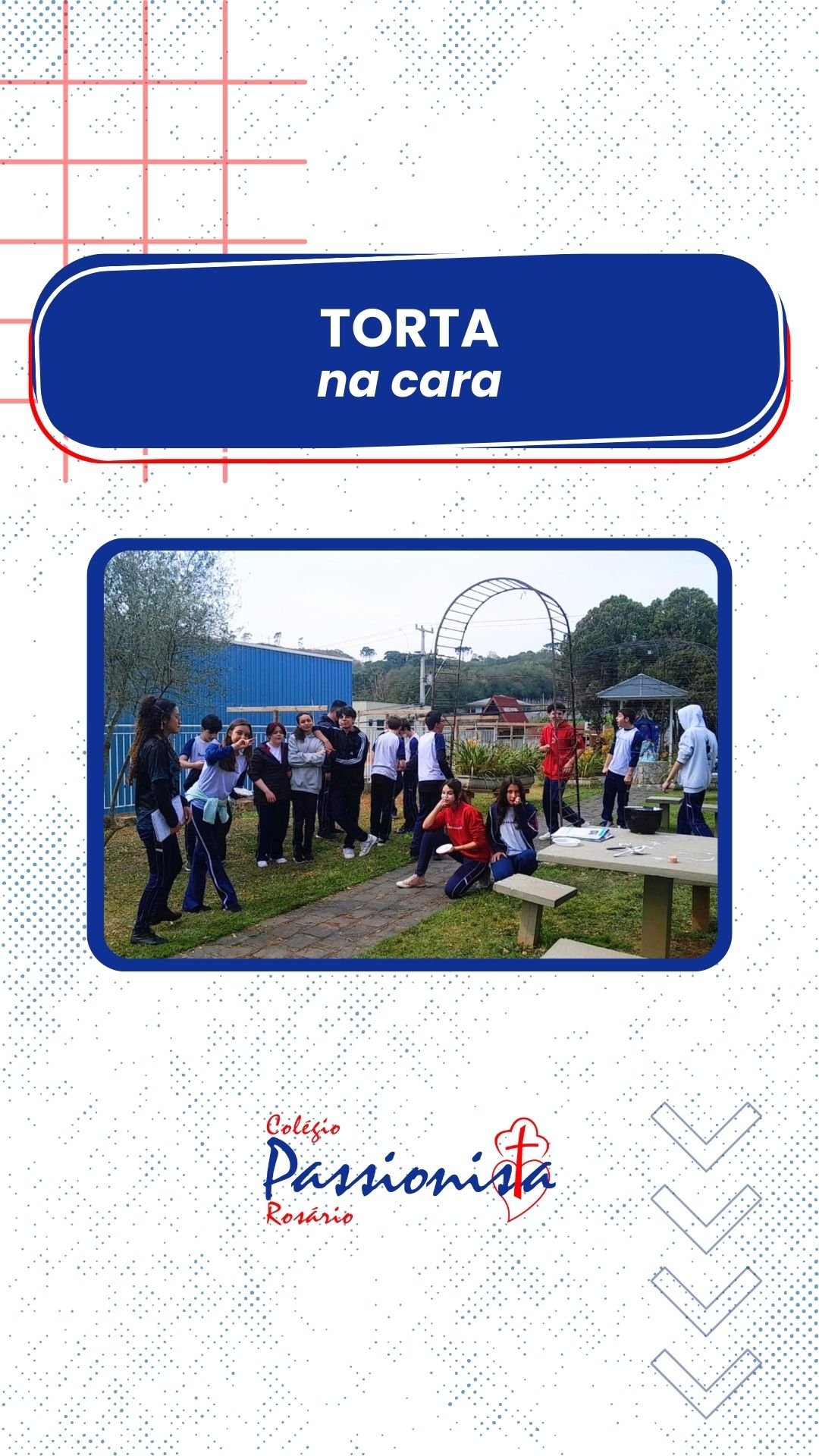 Torta na Cara 9 ano C - Rosrio Rede Passionista de Educao