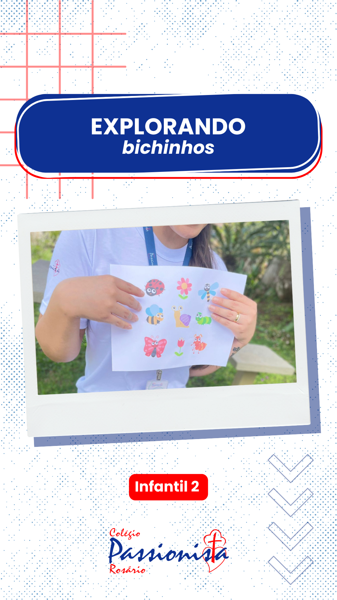 Explorando os bichinhos de jardim - Infantil 3 - Ros�rio Rede Passionista de Educa��o