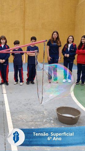 Tens�o  Superficial - 6� Ano - S�o Paulo da Cruz Rede Passionista de Educa��o