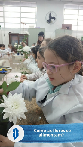 Como as flores se alimentam? - S�o Paulo da Cruz Rede Passionista de Educa��o