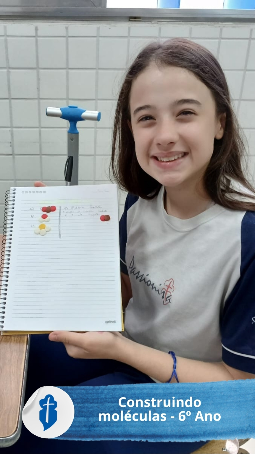 Construindo mol�culas - 6� Ano - S�o Paulo da Cruz Rede Passionista de Educa��o
