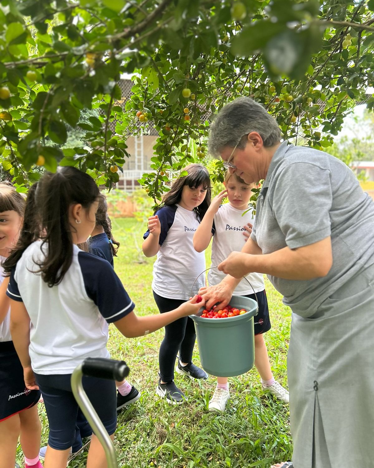 O parquinho foi diferente para o 2  ano! - Nossa Senhora Menina Rede Passionista de Educao