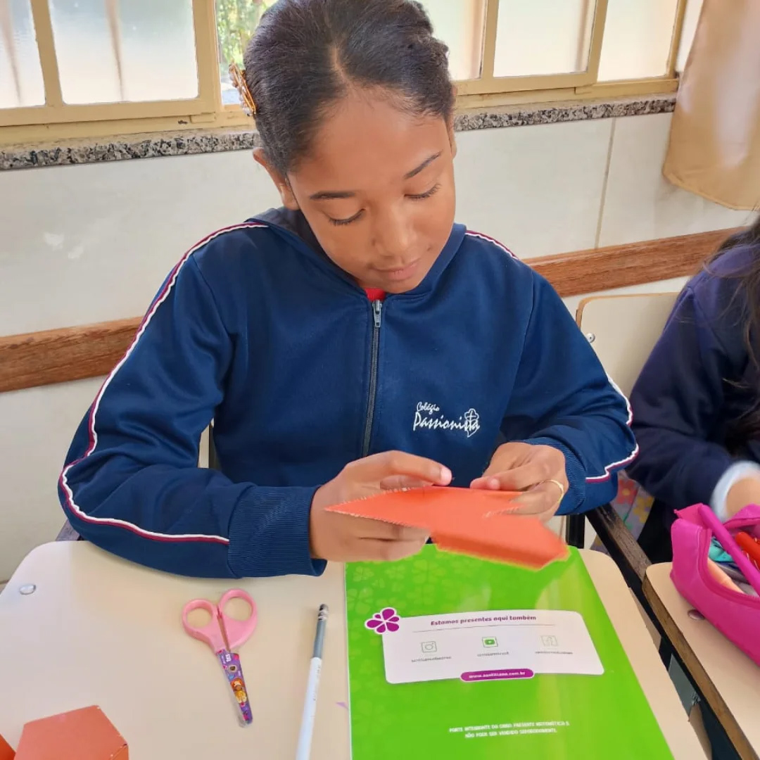 Figuras geom�tricas espaciais - Santa Luzia Rede Passionista de Educa��o