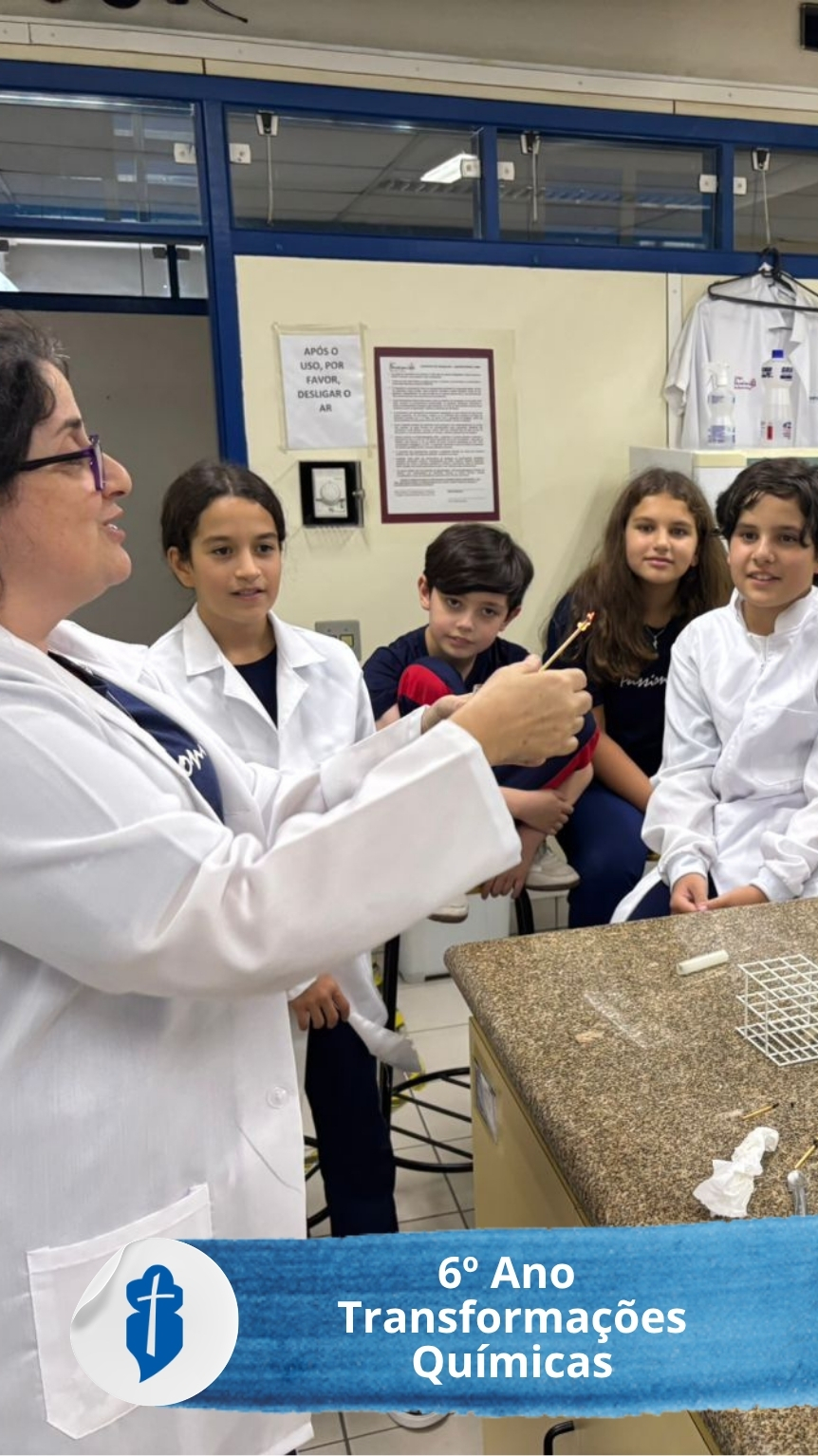6� Ano - Transforma��es Qu�micas - S�o Paulo da Cruz Rede Passionista de Educa��o