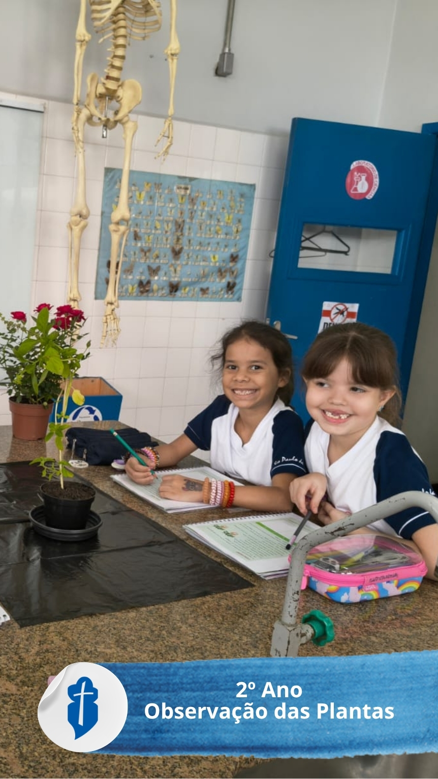 Observa��o das Plantas - 2� Ano - S�o Paulo da Cruz Rede Passionista de Educa��o