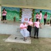  - Rede Passionista de Educao