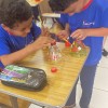  - Rede Passionista de Educao
