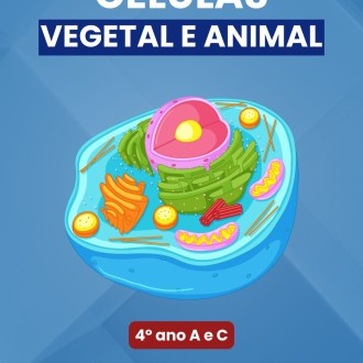 Célula Animal e a Célula Vegetal - 4º ano A e C - Rosário - Rede Passionista de Educação Célula Animal e a Célula Vegetal - 4º ano A e C - Rosário - Rede Passionista de Educação