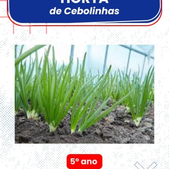 Horta de Cebolinhas: cultivando valores e conhecimento - 5º ano - Rosário - Rede Passionista de Educação Horta de Cebolinhas: cultivando valores e conhecimento - 5º ano - Rosário - Rede Passionista de Educação