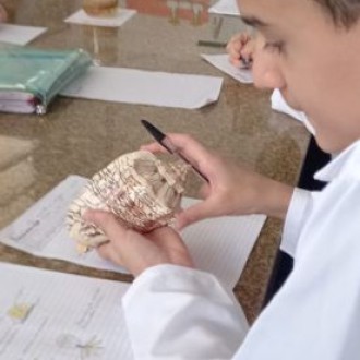 Atividade experimental - 7º Ano A e B - São Paulo da Cruz - Rede Passionista de Educação Atividade experimental - 7º Ano A e B - São Paulo da Cruz - Rede Passionista de Educação